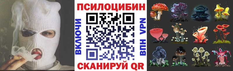 Купить закладки  Магас  Галлюциногенные грибы Magic Shrooms 