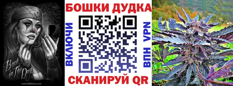 Купить где  Магас  Бошки Шишки семена 